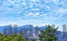 大象传媒app黄每日三次-大象传媒APP的每日三次使用与网络内容消费的反思