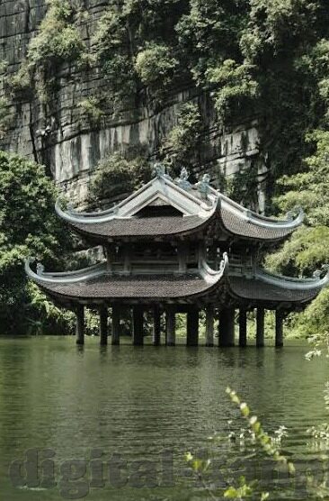 糖心app干嘛的-揭秘日常生活中的糖心app，功能与应用的深入观察